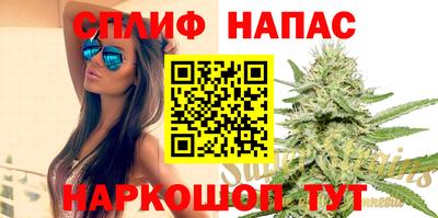 сатива Аргун