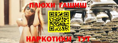 сатива Аргун