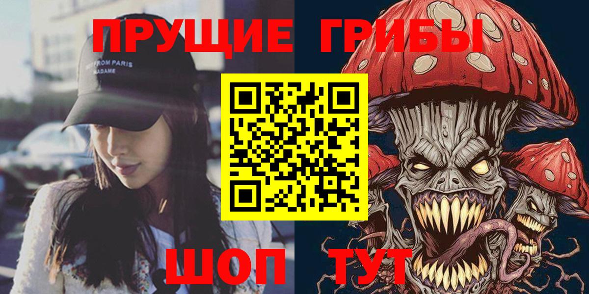 Псилоцибиновые грибы Psilocybine cubensis Берёзовский